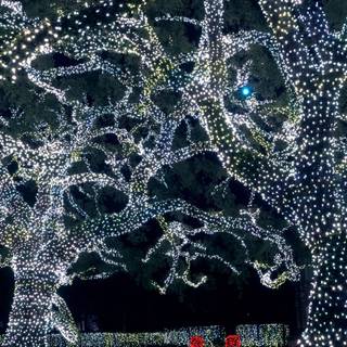 Christmas neighborhood wallpaper