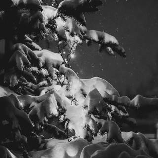 Christmas black HD wallpaper