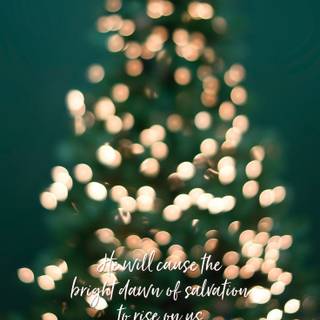 Christmas Bible quotes wallpaper