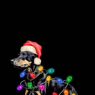 Christmas black dogs wallpaper