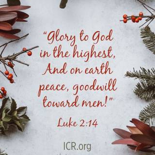 Christmas Bible quotes wallpaper