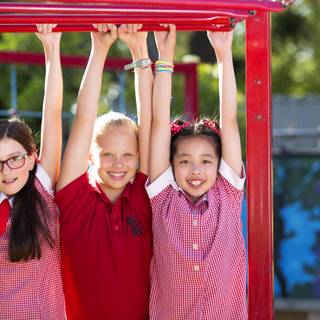 Little Lunch wallpaper