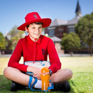 Little Lunch wallpaper