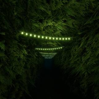 Labyrinthine wallpaper