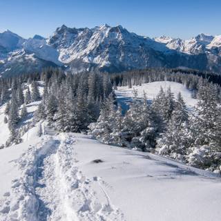 Switzerland nature wallpaper