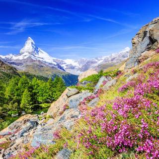 Switzerland nature wallpaper