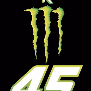 Tyler Reddick wallpaper