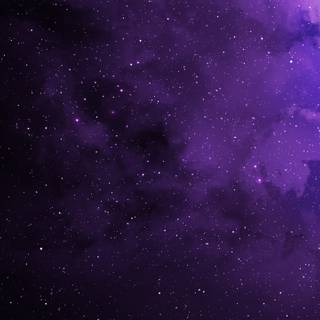 2560x1440 purple wallpaper