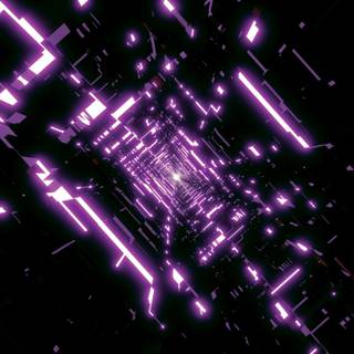 2560x1440 purple wallpaper