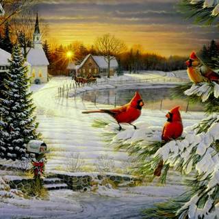 Birds Christmas wallpaper