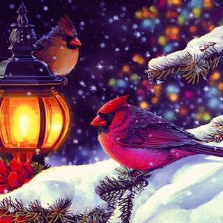 Birds Christmas wallpaper