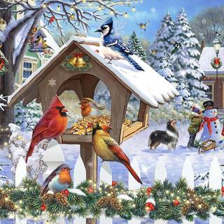 Birds Christmas wallpaper