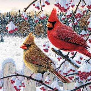 Birds Christmas wallpaper