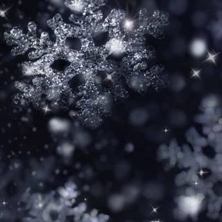 Black Christmas iPhone wallpaper