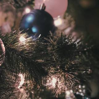 Black Christmas iPhone wallpaper