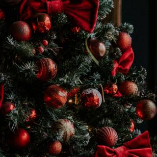 Christmas 1440x2560 wallpaper