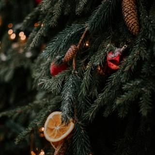 Christmas 1440x2560 wallpaper