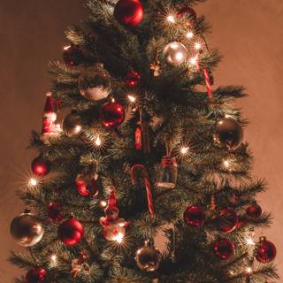 Christmas 1440x2560 wallpaper