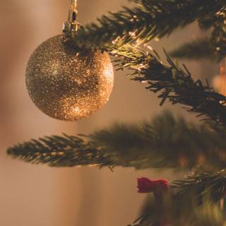 Christmas 1440x2560 wallpaper