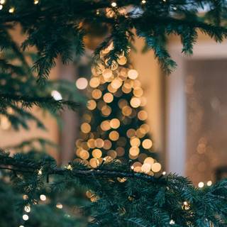 Christmas 1440x2560 wallpaper