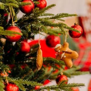 Christmas 1440x2560 wallpaper