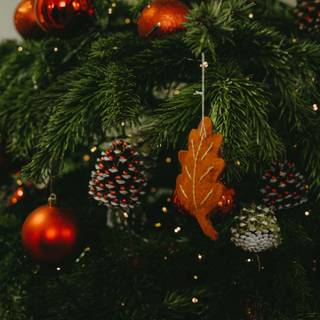 Christmas 1440x2560 wallpaper