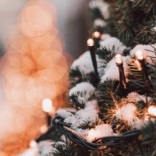 Christmas 1440x2560 wallpaper