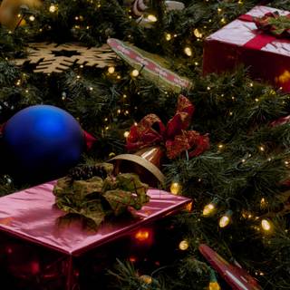 Christmas 1440x2560 wallpaper