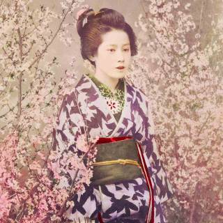 Japanese kimono wallpaper