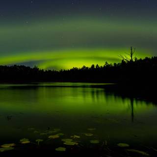 Dark aurora wallpaper