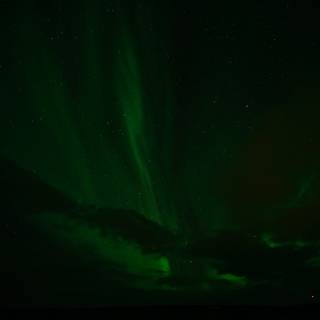 Dark aurora wallpaper