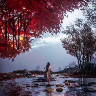 Where Winds Meet phone wallpaper