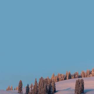 Winter borders iPhone wallpaper