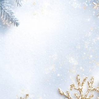 Winter borders iPhone wallpaper