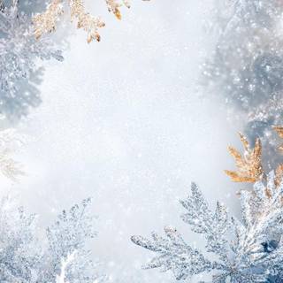 Winter borders iPhone wallpaper