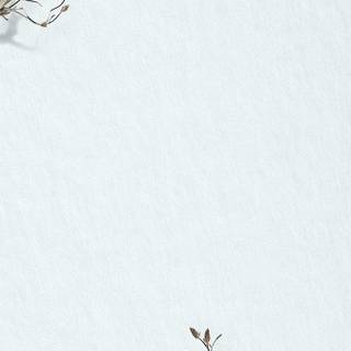 Winter borders iPhone wallpaper