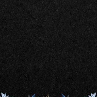 Winter borders iPhone wallpaper