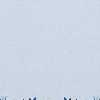 Winter borders iPhone wallpaper