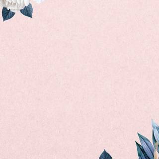 Winter borders iPhone wallpaper