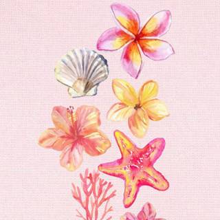 Hibiscus and seashells wallpaper