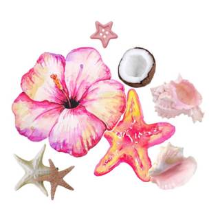 Hibiscus and seashells wallpaper