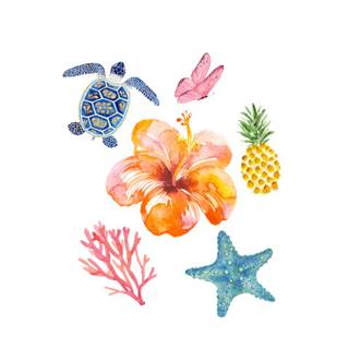 Hibiscus and seashells wallpaper