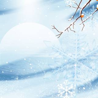 Winter borders iPhone wallpaper