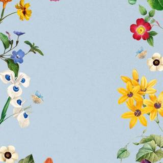 Winter borders iPhone wallpaper