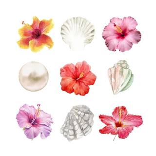 Hibiscus and seashells wallpaper