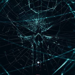 Spider-Man: Brand New Day phone wallpaper