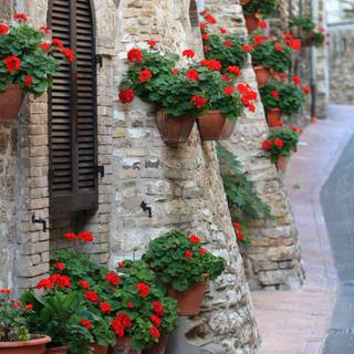 Italian street wallpaper