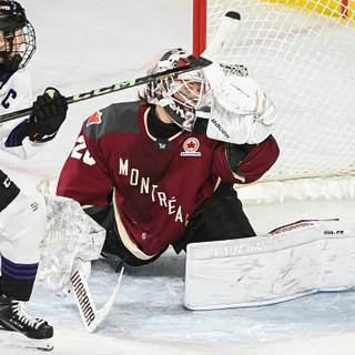 Professional Women's Hockey League wallpaper