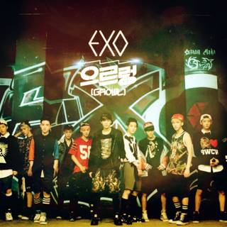 Exo Growl wallpaper