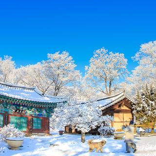Korea winter desktop wallpaper